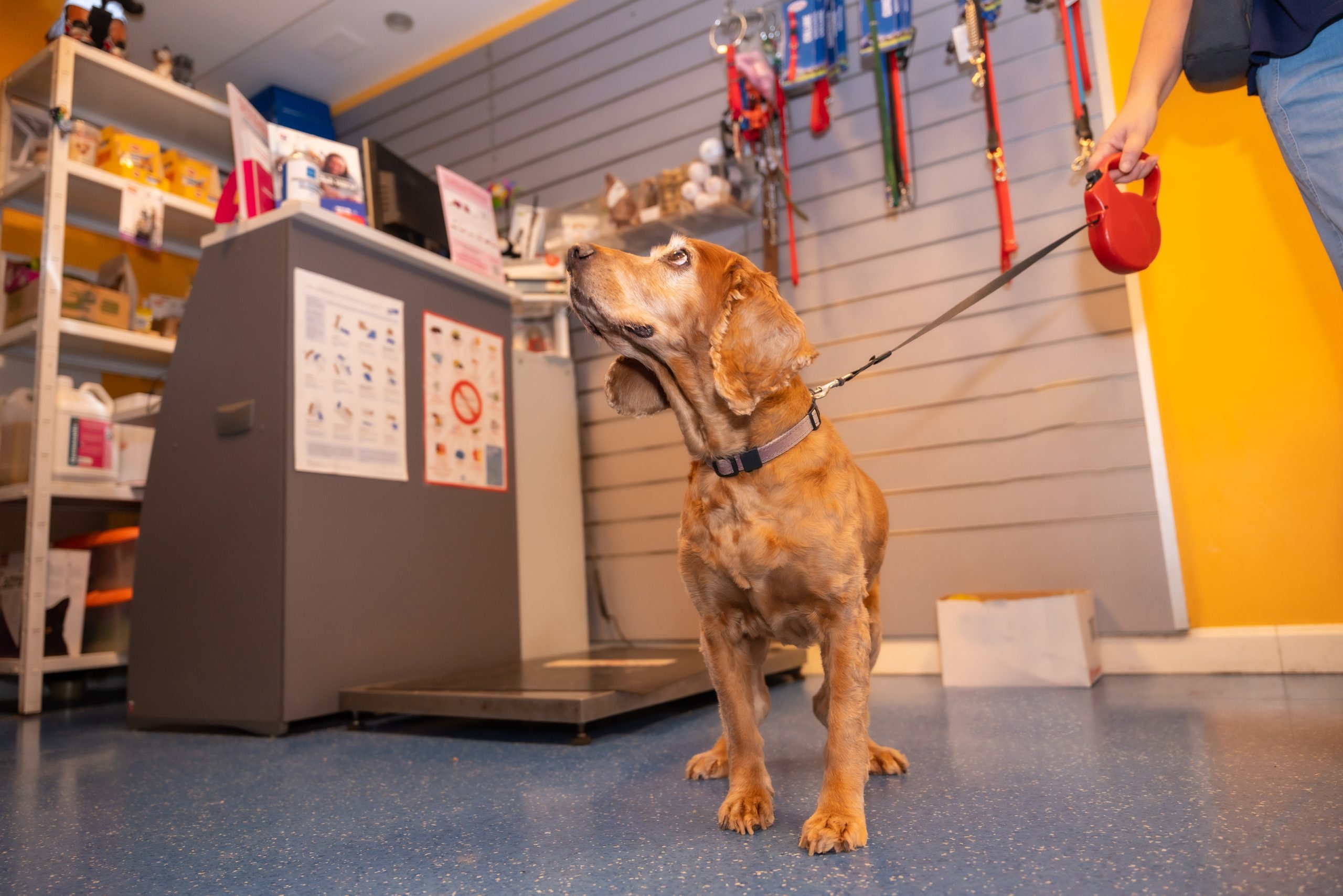 Veterinary clinic